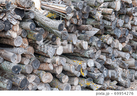 Stack of chopped wood prepared for winter Stack of chopped wood prepared for winter 69954276