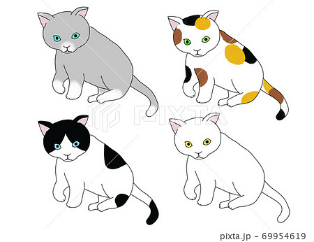 4色の子猫 69954619