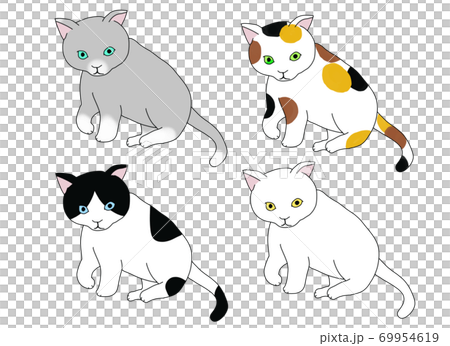 4色の子猫 69954619