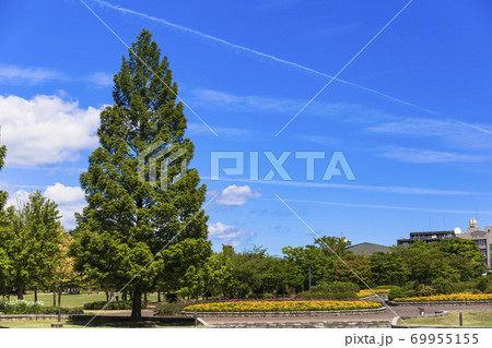 青空の七北田公園 宮城県仙台市の写真素材