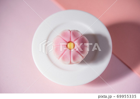 白い皿に乗った和菓子 練り切り 秋桜 コスモス ピンクの背景の写真素材