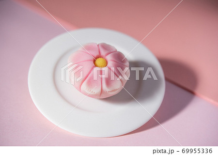 白い皿に乗った和菓子 練り切り 秋桜 コスモス ピンクの背景の写真素材