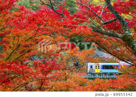 紅葉と鉄橋を渡る水郡線の列車 福島県矢祭町 紅葉と鉄橋を渡る水郡線の列車 福島県矢祭町 69955342