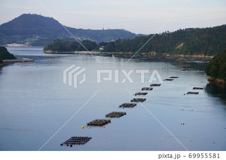 気仙沼特産品の牡蠣棚/Oyster farming at Kesennuma, Miyagi 69955581