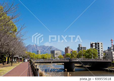 甲突川から見る桜島 甲突川から見る桜島 69955618