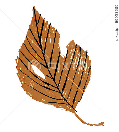 枯葉のイラスト素材