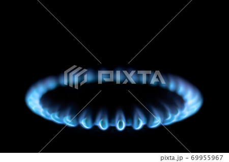 Burning gas stove with a blue flame Burning gas stove with a blue flame 69955967