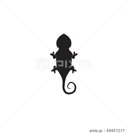 Chameleon Animal Logo Design Templateのイラスト素材