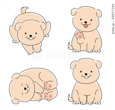 子犬 白 イラスト素材セットのイラスト素材