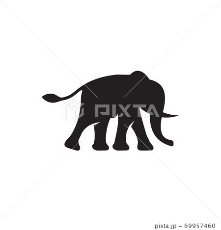Elephant animal logo design template 69957460