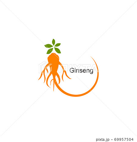 Korean ginseng logo design template Korean ginseng logo design template 69957504