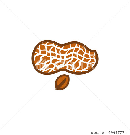 Peanut plant logo design template 69957774