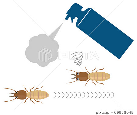 殺虫剤スプレーから逃げるシロアリ 69958049