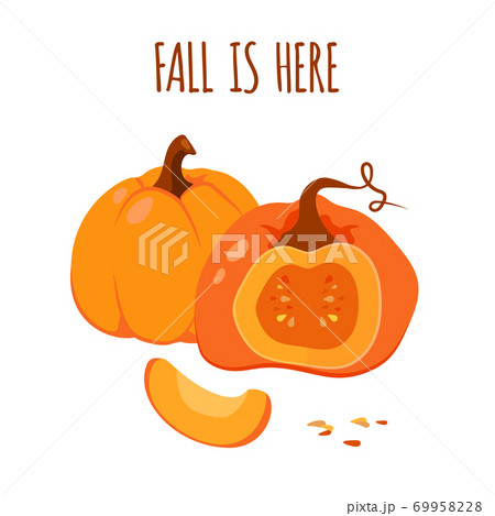 Autumn pumpkin card Thanksgiving vector closeup Autumn pumpkin card Thanksgiving vector closeup 69958228
