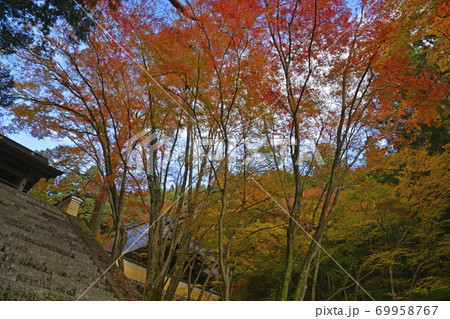 ≪京都　亀岡　法常寺の紅葉≫　京都府亀岡市 69958767