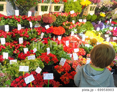 花屋の前でプレゼント用の花を選ぶ金髪の男の子/A boy buy flowers at market 花屋の前でプレゼント用の花を選ぶ金髪の男の子/A boy buy flowers at market 69958903