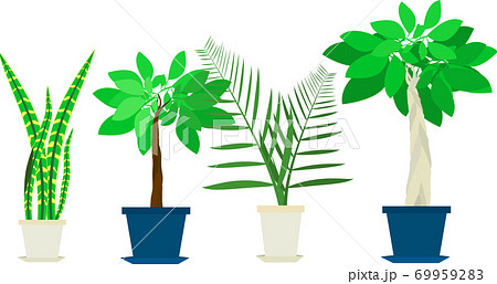 シンプルで可愛い観葉植物のイラストのイラスト素材