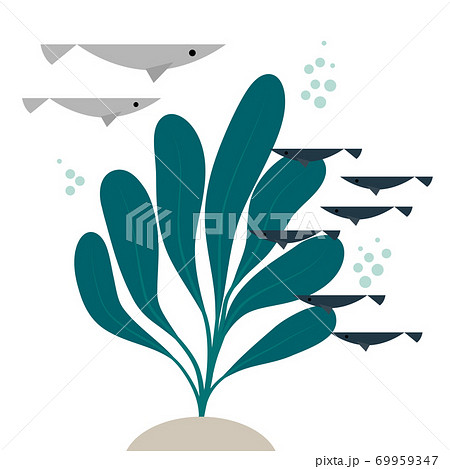 海藻と魚の群れのイラストのイラスト素材 [69959347] - PIXTA