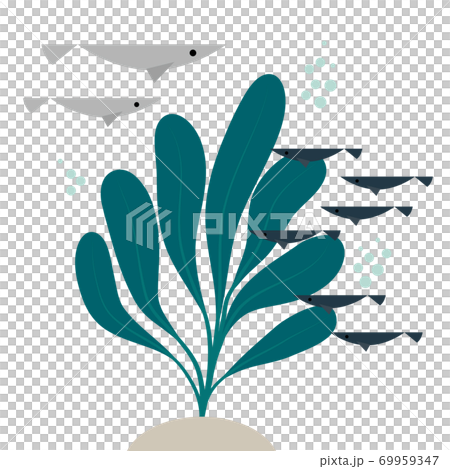 Minimalist flat fiber seaweed image | Marine ecosystem illustration (white background, vector) Minimalist flat fiber seaweed image | Marine ecosystem illustration (white background, vector) 69959347