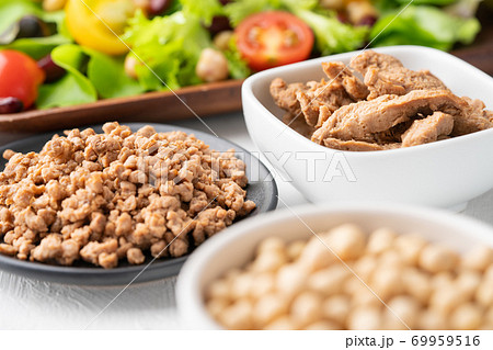 大豆ミート(フィレタイプとミンチタイプ)と生野菜 大豆ミート(フィレタイプとミンチタイプ)と生野菜 69959516