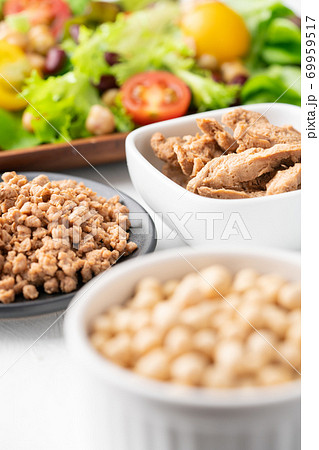 大豆ミート（フィレタイプとミンチタイプ）と生野菜 69959517