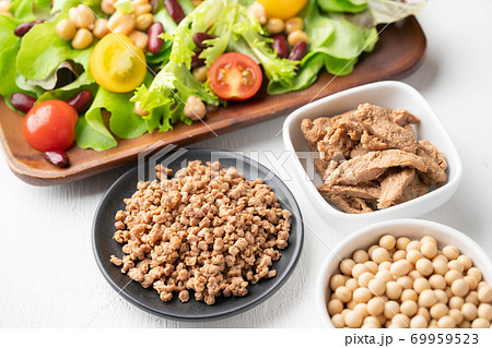 大豆ミート(フィレタイプとミンチタイプ)と生野菜 大豆ミート(フィレタイプとミンチタイプ)と生野菜 69959523