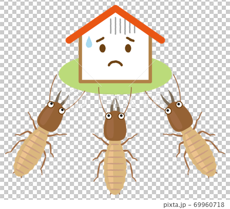 A group of termites aiming for a house 69960718