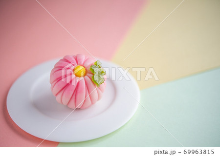 白い皿に乗った和菓子 練り切り 菊 ピンクの背景の写真素材