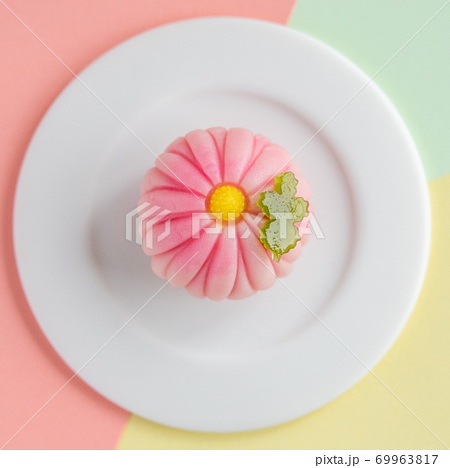 白い皿に乗った和菓子 練り切り 菊 ピンクの背景の写真素材