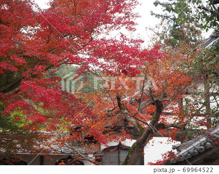延命寺の紅葉 69964522