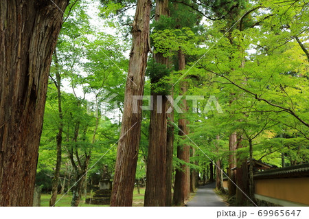 広島 佛通寺 広島 佛通寺 69965647