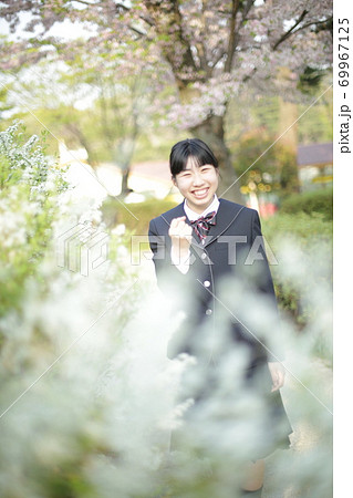 桜とゆきやなぎと制服の女の子 桜とゆきやなぎと制服の女の子 69967125