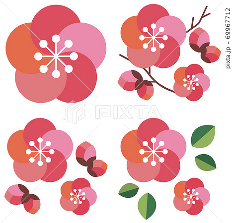 かわいい梅の花イラストのイラスト素材