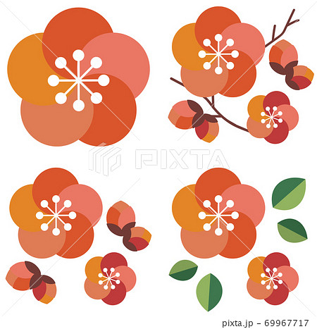 かわいい梅の花イラストのイラスト素材