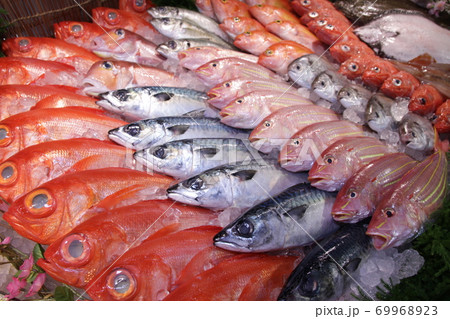 魚 丸物 鮮魚 魚 丸物 鮮魚 69968923