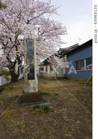桜と力丸城跡_碑_縦置き 69969130