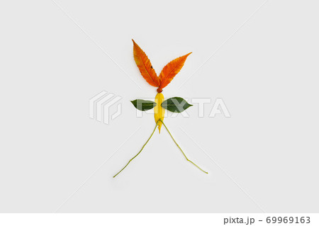 Child crafts of autumn leaves at home or preschool. Creative education. Natural toys.  69969163