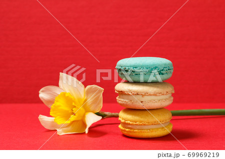 Sweet macarons cakes of different color with yellow daffodil flower Sweet macarons cakes of different color with yellow daffodil flower 69969219
