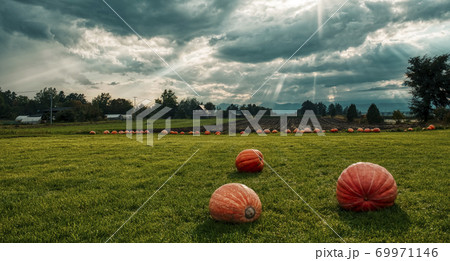 天使のはしごが現れた神秘的な風景 天使のはしごが現れた神秘的な風景 69971146