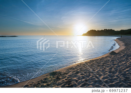 夏の日の恋 69971237