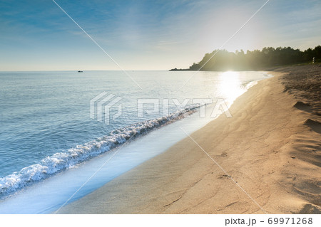 夏の日の恋 69971268