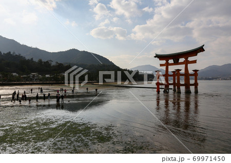 広島県 秋 廿日市市 安芸の宮島 大鳥居 厳島神社 広島県 秋 廿日市市 安芸の宮島 大鳥居 厳島神社 69971450