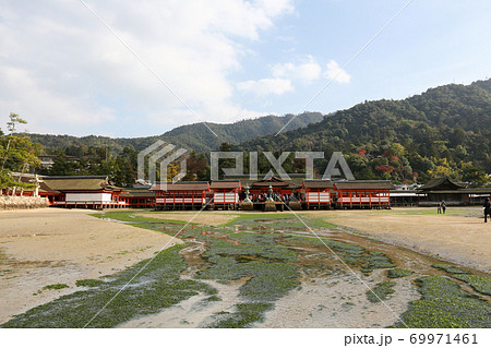 広島県　秋　廿日市市　安芸の宮島　厳島神社 69971461