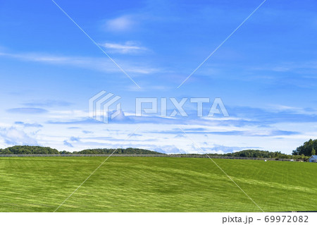 競走馬の牧場　仔馬　イメージ　北海道 69972082