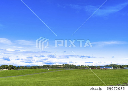競走馬の牧場　仔馬　イメージ　北海道 69972086