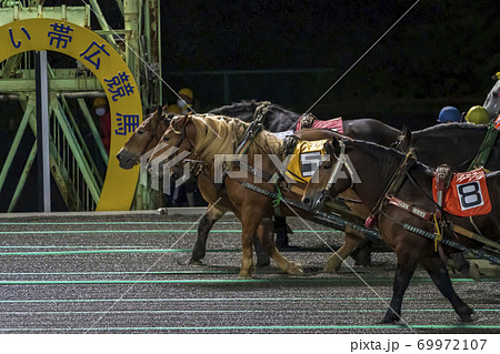 ナイターのばんえい競馬 イメージ 帯広競馬場 ナイターのばんえい競馬 イメージ 帯広競馬場 69972107