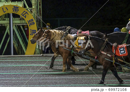 ナイターのばんえい競馬 イメージ 帯広競馬場 ナイターのばんえい競馬 イメージ 帯広競馬場 69972108
