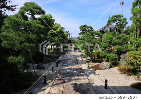 織田信長のお墓がある崇福寺の美しい庭園　岐阜県岐阜市 69972907