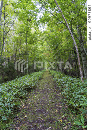 雨の旧国鉄士幌線跡 北海道上士幌町 雨の旧国鉄士幌線跡 北海道上士幌町 69973862