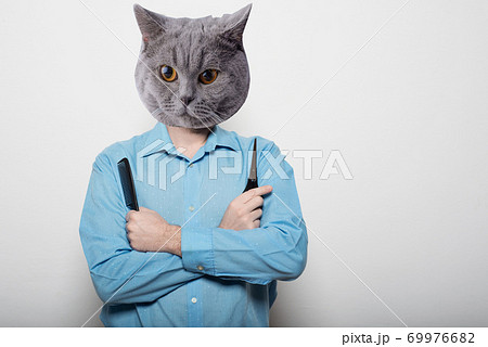 Collage of a man and with a cat head - attractive male hairdresser with scissors and comb Collage of a man and with a cat head - attractive male hairdresser with scissors and comb 69976682
